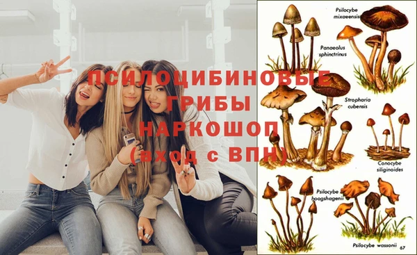 прущие крисы Навашино