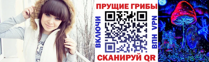 Купить  Дмитров  Псилоцибиновые грибы мицелий 