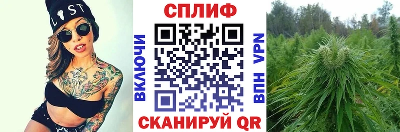 Купить  Дмитров  Конопля индика 
